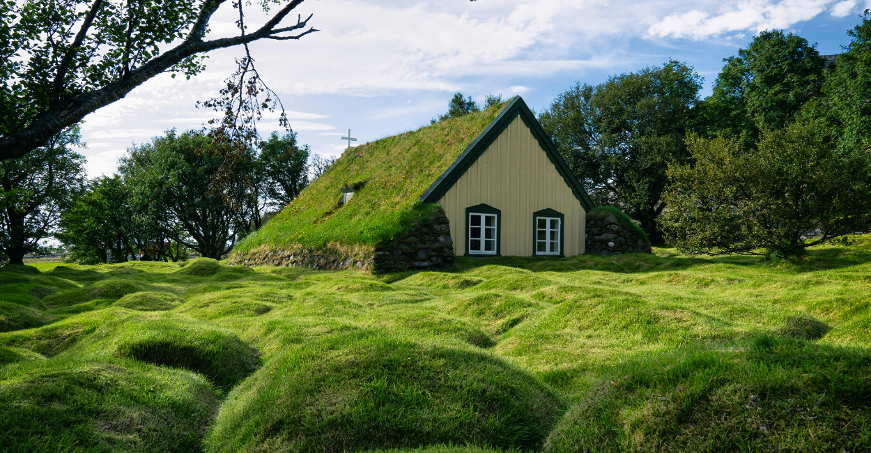 Dicas para um Telhado Verde Incrível