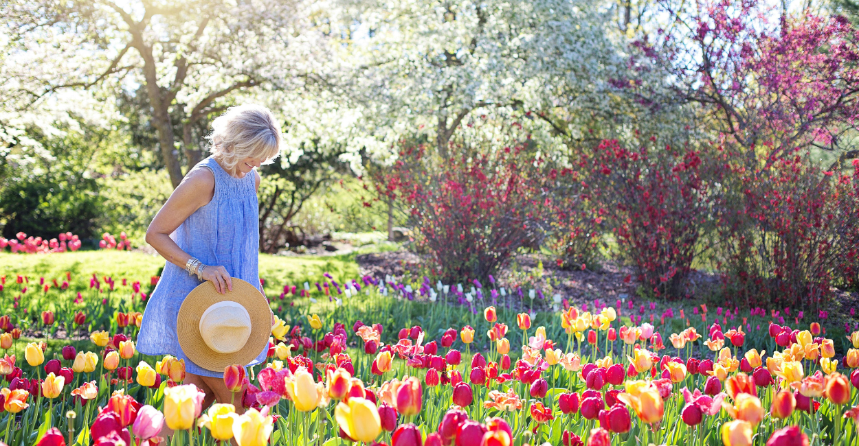 tulipas no quintal
